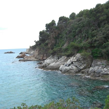 Apartamentos Famara Lloret de Mar Dış mekan fotoğraf